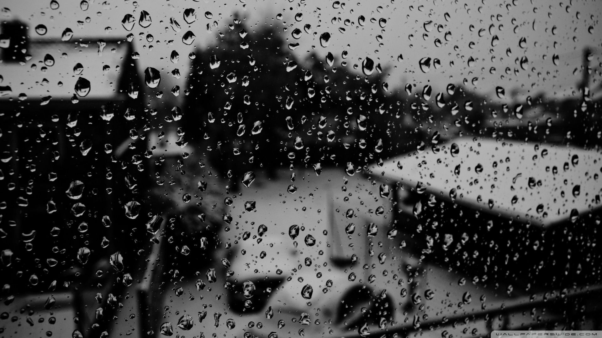 Rainfall Predictor Project